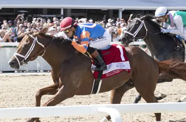 Disruptor, Grande could fill the void for Pletcher, Repole