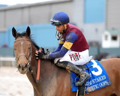 D'Amato adds graded stakes winner Majestic Oops to Kentucky barn