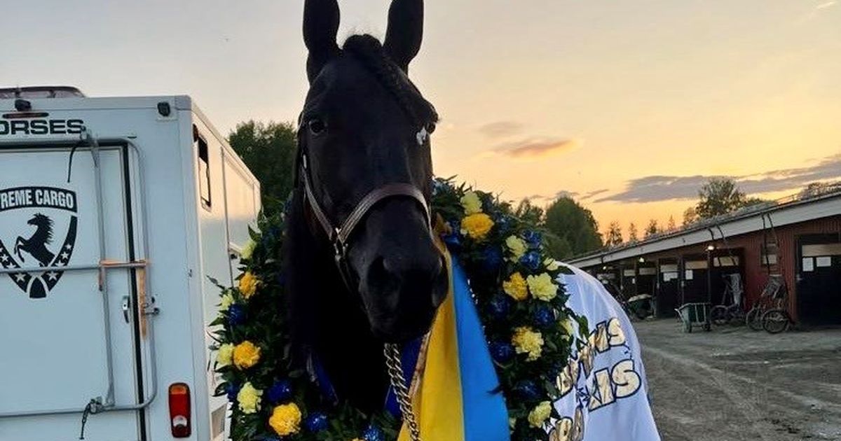 Yonkers: Gio Cash seeks clear sailing in 2026 International Trot