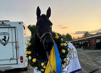 Yonkers: Gio Cash seeks clear sailing in 2026 International Trot
