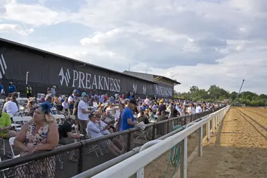 Pimlico looks to highlight Black-Eyed Susan card; adds two-day betting options
