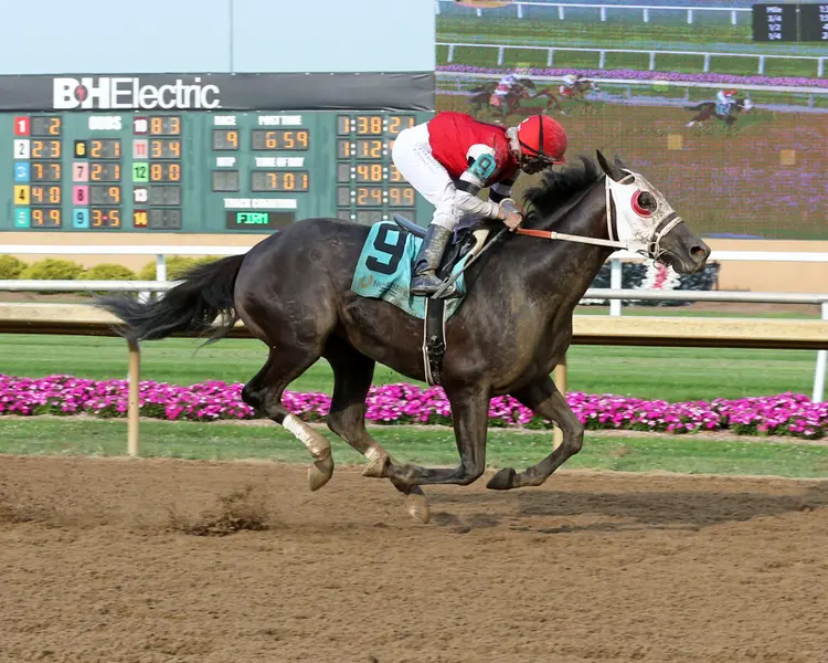 KING ICE - Governor's Handicap 20th Running - 08-02-23 - R09 - Horseshoe Indiana - Finish 01.jpg