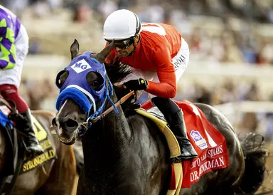 Weekend GamePlan: Picks for Bango, Wise Dan, Royal North