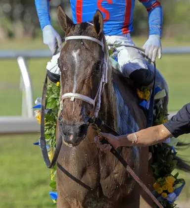 Kentucky Oaks 2026: Field taking shape as Life of Joy declared out