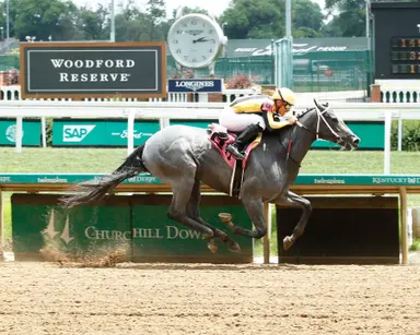Vekoma soars to top of freshman sire ranks with impressive runners