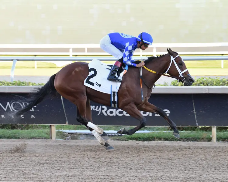 Tessellate the Juve Fillies Sprint credit Lauren King.jpg