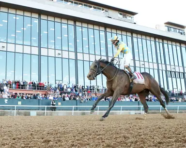 Prep winners giving Oxley another case of Derby Fever