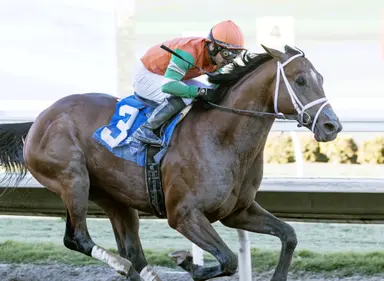 Kentucky Derby 2025: After minor setback, Journalism back on track