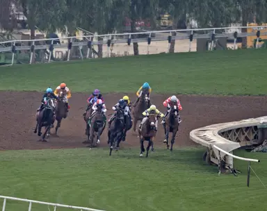 New protocols released for Santa Anita downhill turf course