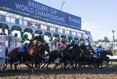 Kentucky Derby 2025: After Risen Star dud, East Avenue a forgotten horse