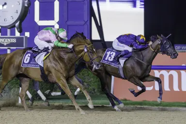 Dubai: Dark Saffron springs major upset in Golden Shaheen