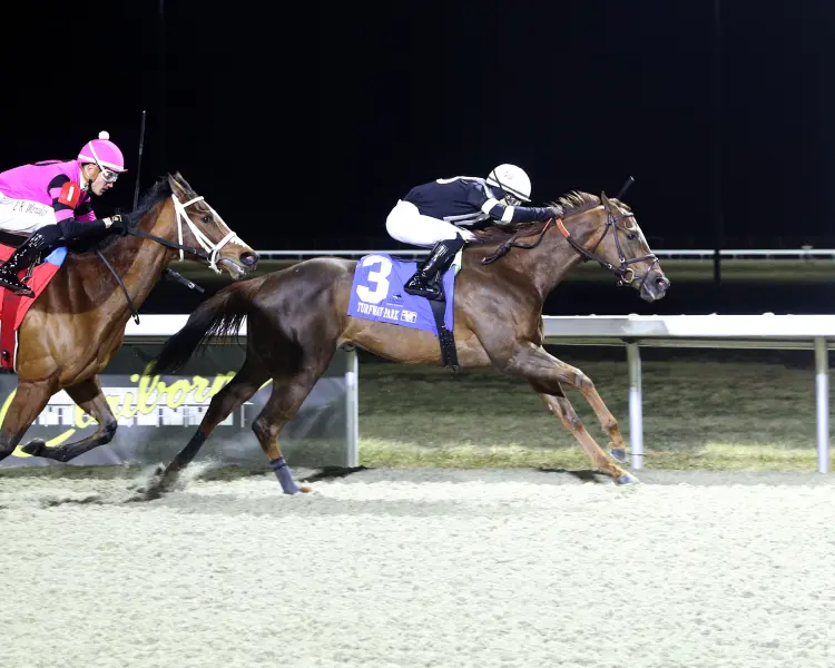 HOLLYGROVE - The Valdale - 02-08-25 - R07 - Turfway Park - Finish 01.jpg