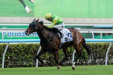 Tomodachi Kokoroe’s remarkable renaissance continues with scintillating Premier Bowl win