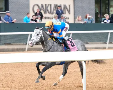 Haulin Ice dominates Downthedustyroad, becomes first Arkansas-bred millionaire