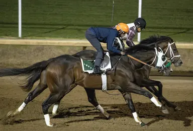 Kentucky Derby pedigree profile: Just Steel