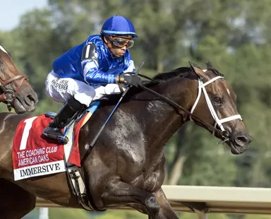 Immersive gets cutback for 4-year-old debut in Distaff