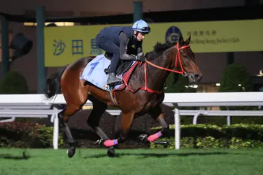 Hong Kong Cup: Romantic Warrior poised for four-peat