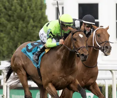 Montador could spring upset in Fair Grounds Stakes