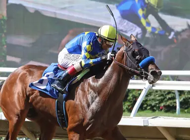 2023 Preakness: Mage, National Treasure both confirmed to run