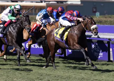 Breeders' Cup veterans among those chasing Nunthorpe title