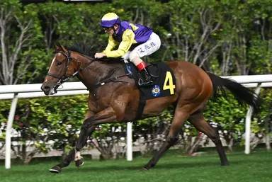 Colourful King carries Eustace’s hopes as Romantic Warrior impresses in trial