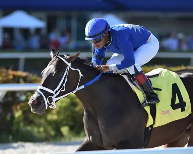 Choose Joy back on favorite course in turf sprint