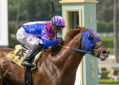 Local favorite Brickyard Ride leads new California stallions in 2025