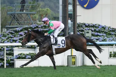 Purton closing in on century as Aerovolanic bids for Sha Tin hat-trick