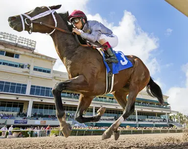 Khozan casting his own shadow as Florida's leading sire