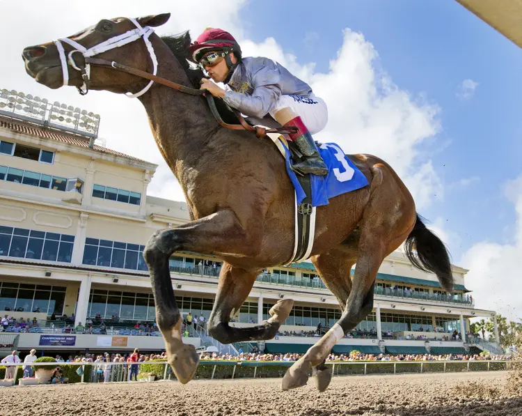 Khozan wins an allowance race