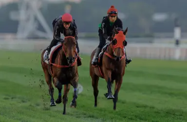 Dubai: Laurel River, Romantic Warrior top star-studded program