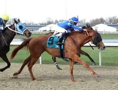Exington shortens to a sprint for new connections