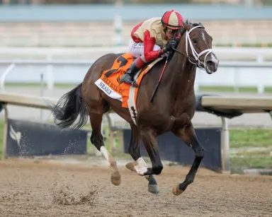 Kentucky Derby 2026: Pletcher well stocked to start new streak