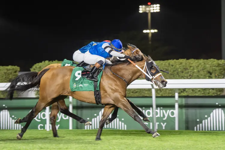 RS43604_Reef Runner2_1351TurfSprint_21426_King Abdulaziz Racecourse_Riyadh Saudi Arabia_ Mathea Kelley-JCSA.jpg
