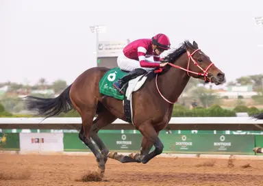 Kentucky Derby pedigree profile: Forever Young