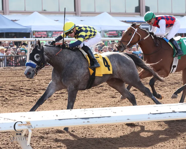 BOTTLE OF ROUGE - Sunland Park Oaks - 23rd Running - 02-15-26 - R07 - Sunland Park - Inside.jpg