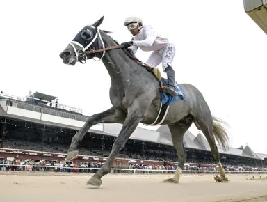 Minorinconvenience should be ready off the bench in Gander Stakes