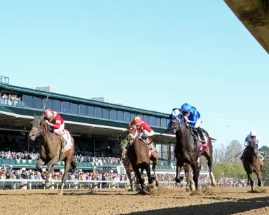 Shuffled Derby preps create peculiar betting handle scenario