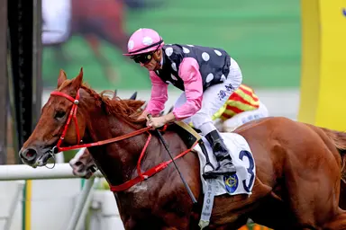 Beauty Eternal on path to LONGINES Hong Kong International Races with G2 Sha Tin Trophy tilt
