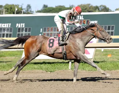 Weekend GamePlan: Picks for Salvator Mile, Cape Henlopen, Monomoy Girl