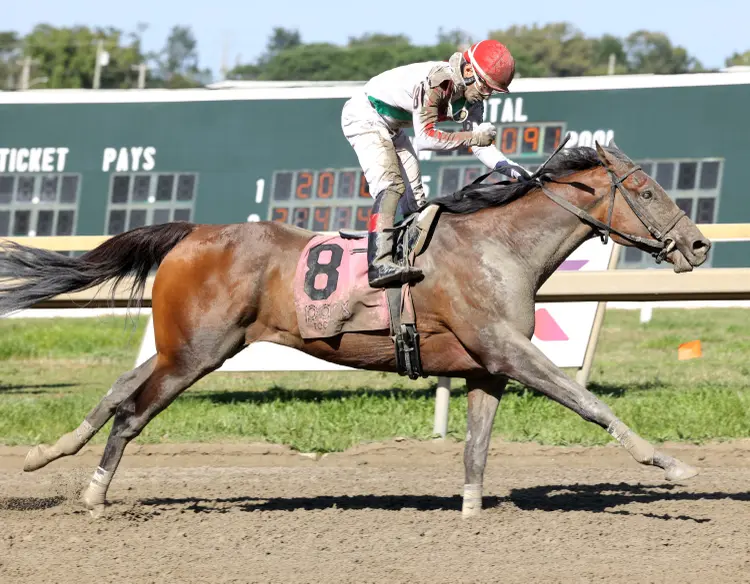 Offaly Cool wins Mayor's Mile at PRX Aug 19 2025