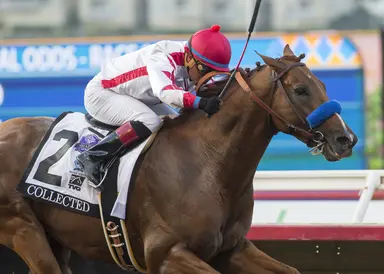 Collected to relocate to California for stud duty