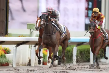 Mark Newnham aims to continue streak at Sha Tin on Thursday
