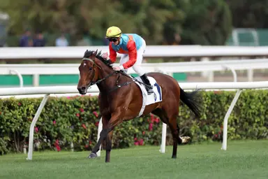 Ka Ying Rising makes it 11 in a row with flawless G2 Sprint Cup display