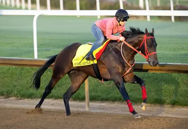 Norman looking for another home run at Texas yearling sale