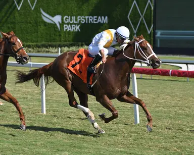 Weaver confident as Thankfully steps up for allowance