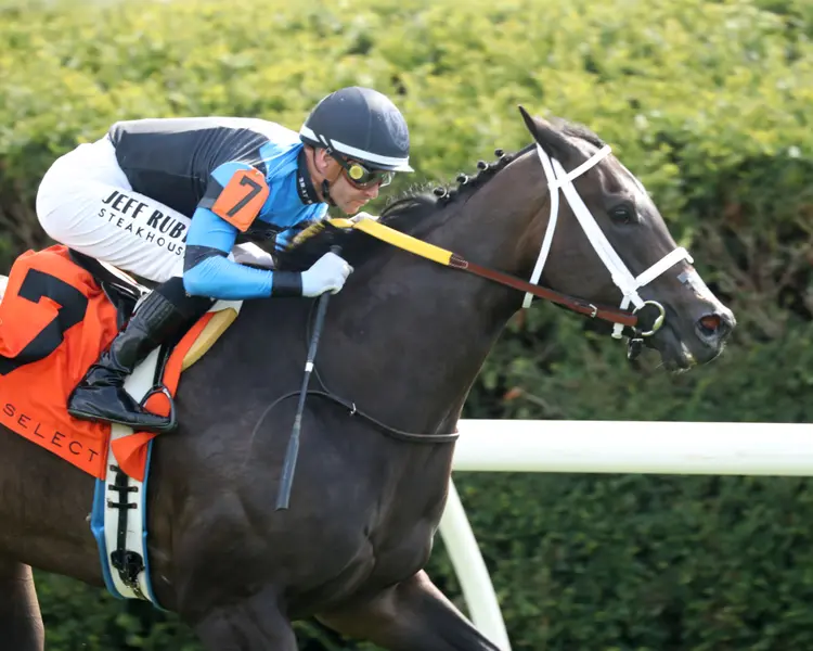IN OUR TIME - The Giant's Causeway Grade 2  - 04-12-26 - R07 - Keeneland Race Course - Tight Finish 01 - Ashleigh Schlitt.jpg