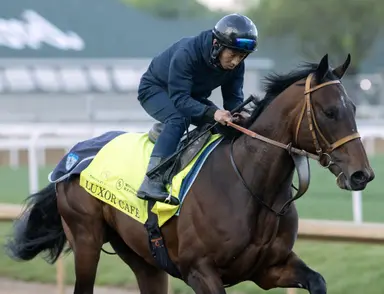 Kentucky Derby 2025: Japanese shippers work five furlongs