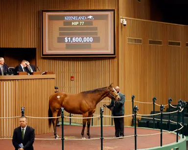 Prank pulls off sale-topping $1.6 million bid at Keeneland January opener