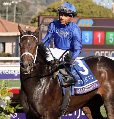 Immersive adds to Nyquist's ascension in sire ranks